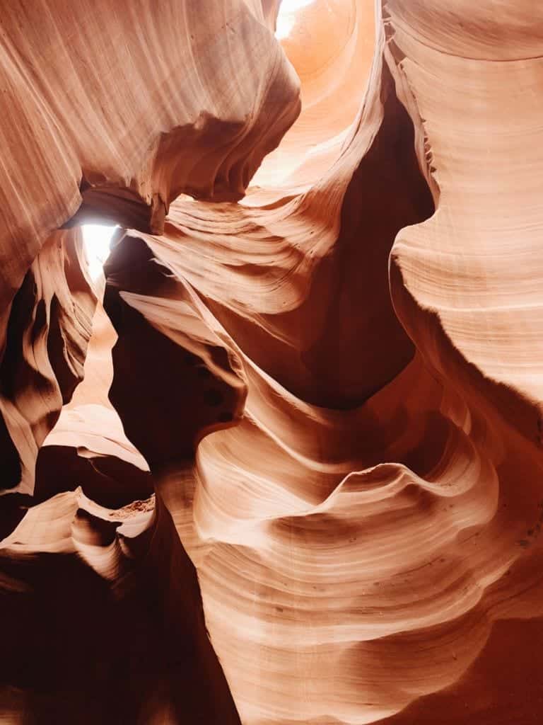 Heat Precautions In Hot Weather Arizona