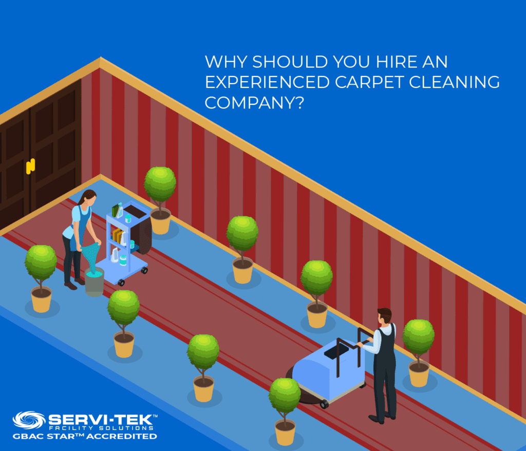 Why Professional Carpet Cleaning Is Necessary