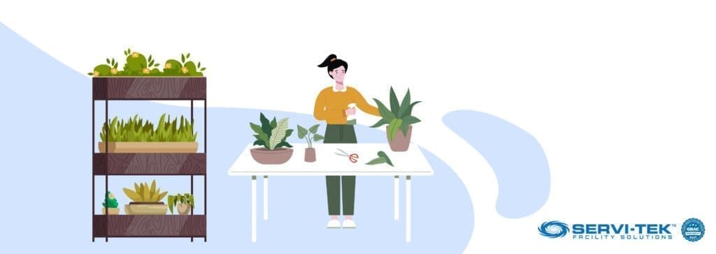 Choose to Keep Fake Plants