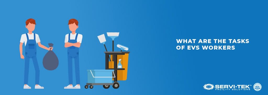 What are the tasks of EVS workers?