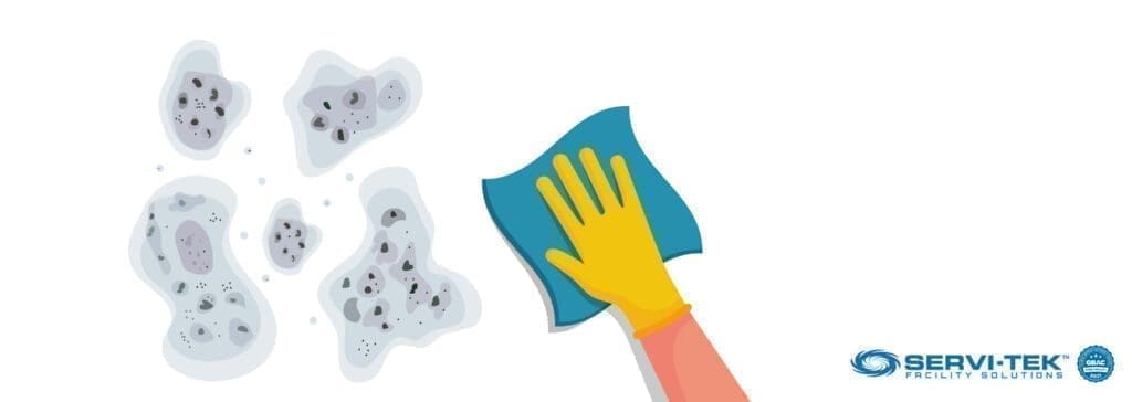What is Black Mold?