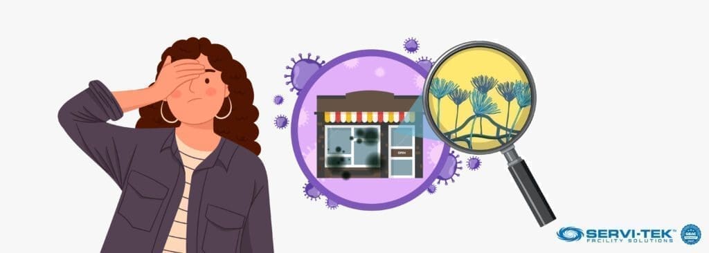 Mold: A Retailer’s Worst Nightmare