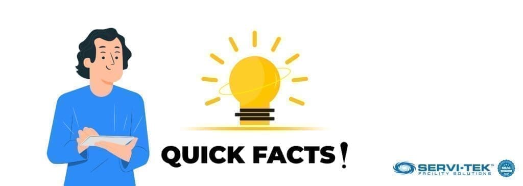 Basic Facts About Mold