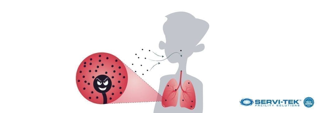 Is Mold Dangerous To Health?